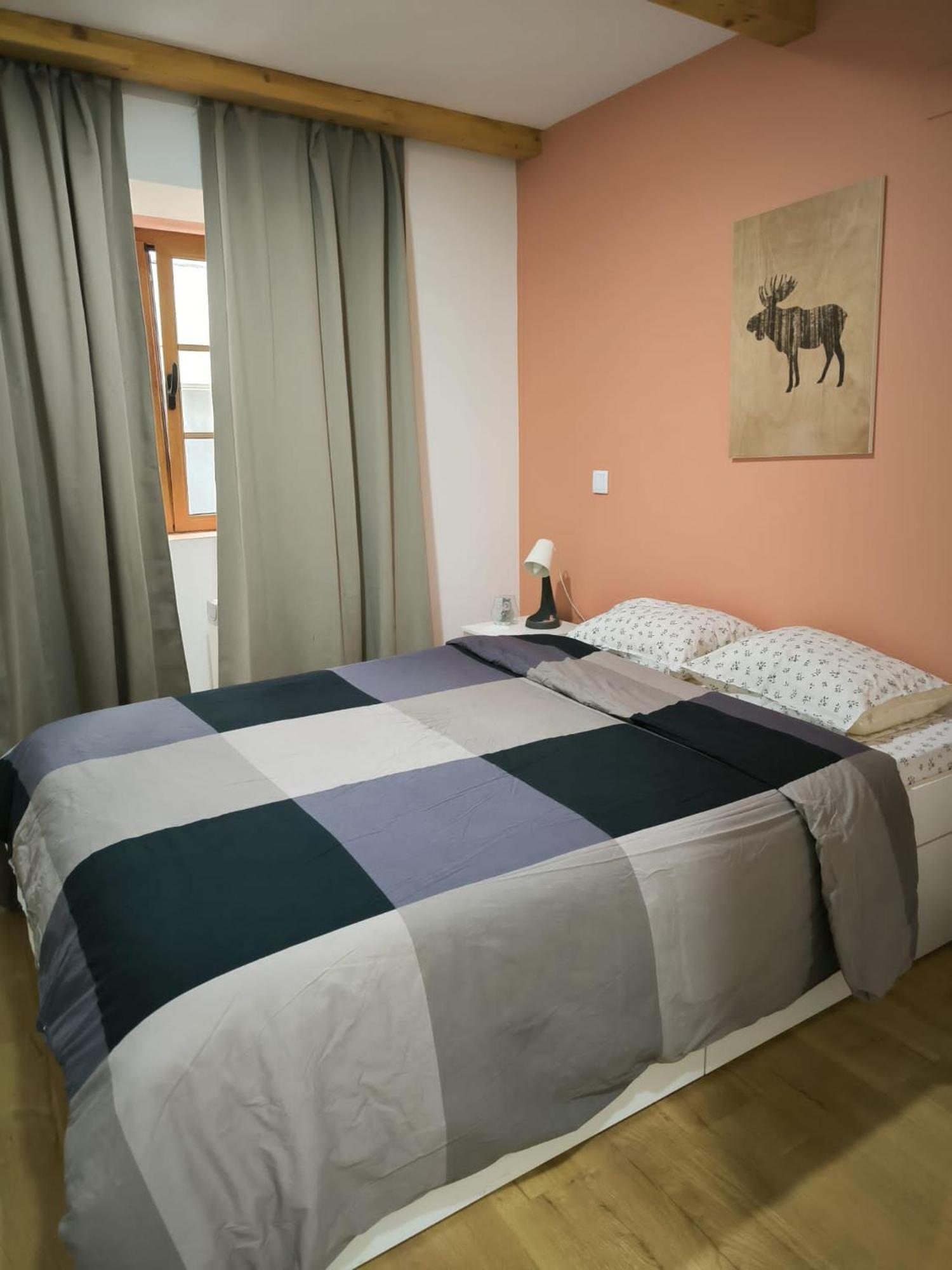 Coimbra Downtown Studio Dış mekan fotoğraf